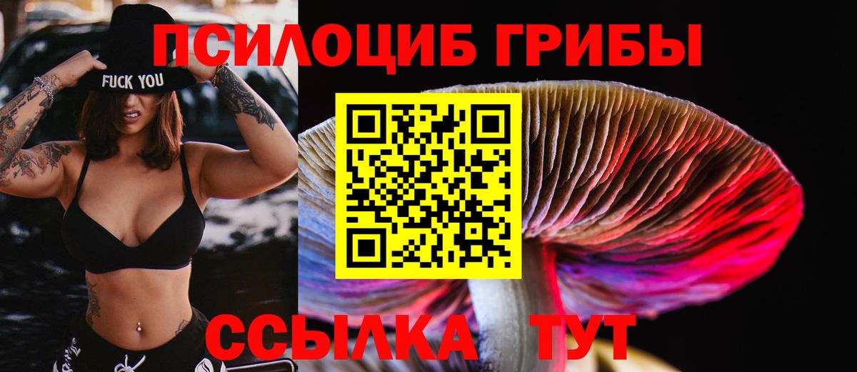 Галлюциногенные грибы Magic Shrooms Долгопрудный