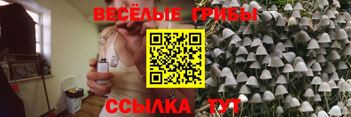 Галлюциногенные грибы мухоморы  наркотики  Долгопрудный  Вход с VPN 